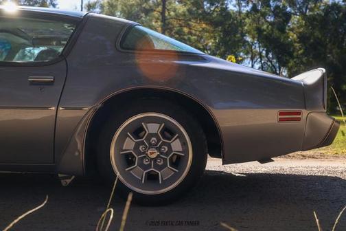 1979 Pontiac Firebird 