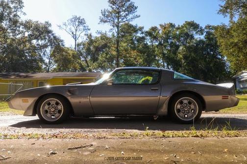 1979 Pontiac Firebird 