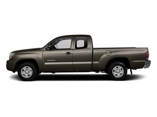 Pyrite Mica 2010 Toyota Tacoma Access Cab