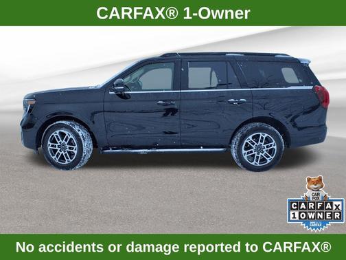 Black Metallic 2025 Ford Expedition Active