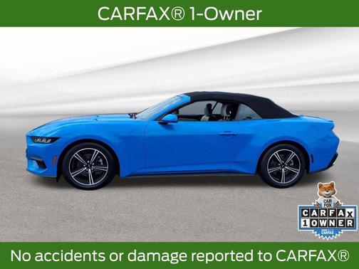 Grabber Blue Metallic 2024 Ford Mustang EcoBoost Premium