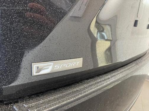 2022 Lexus RX 350 F SPORT Appearance