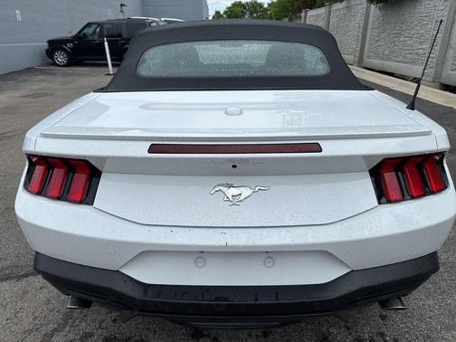 Oxford White 2025 Ford Mustang EcoBoost Premium