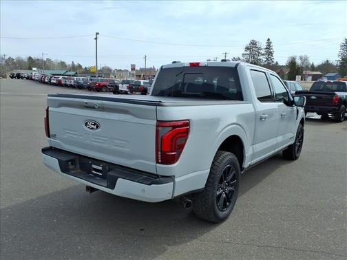 Avalanche 2024 Ford F-150 Platinum