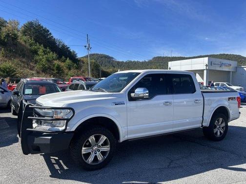 2019 Ford F-150 Platinum