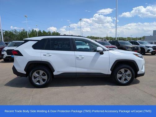 Ice 2024 Toyota RAV4 Hybrid LE