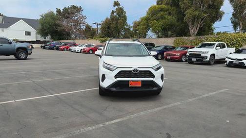 Ice Cap 2024 Toyota RAV4 XLE