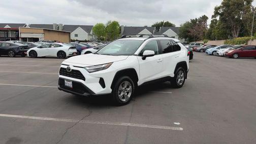 Ice Cap 2023 Toyota RAV4 XLE