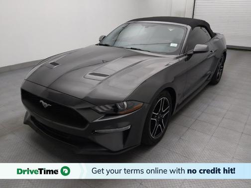 Magnetic Metallic 2019 Ford Mustang EcoBoost
