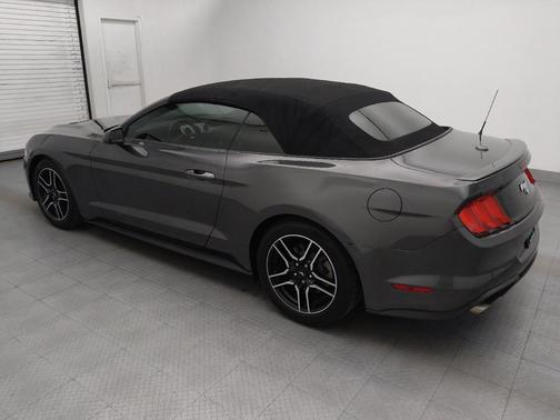 Magnetic Metallic 2019 Ford Mustang EcoBoost