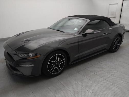 Magnetic Metallic 2019 Ford Mustang EcoBoost