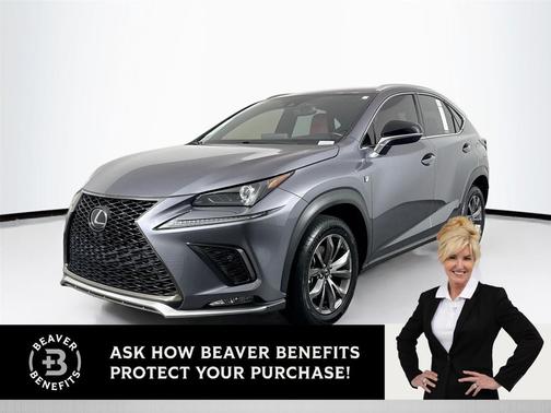 Nebula Gray Pearl 2020 Lexus NX 300 F Sport