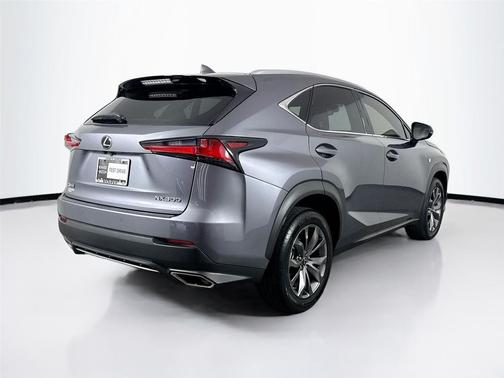 Nebula Gray Pearl 2020 Lexus NX 300 F Sport