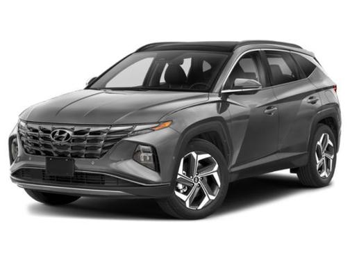 Amazon Gray 2023 Hyundai TUCSON Limited