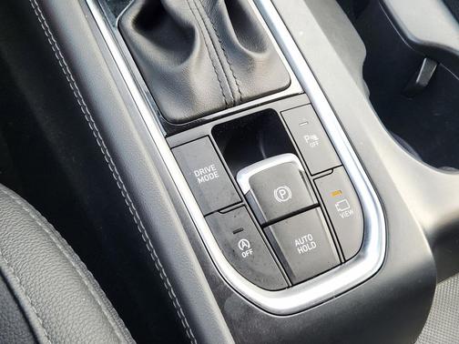 Rainforest 2019 Hyundai SANTA FE Ultimate 2.0T