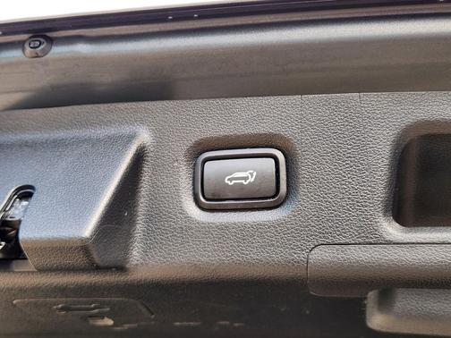 Rainforest 2019 Hyundai SANTA FE Ultimate 2.0T