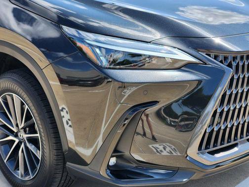 2025 Lexus NX 250 Premium