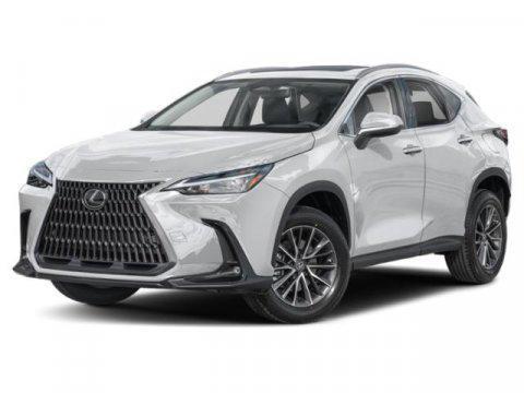 2025 Lexus NX 250 250 Premium