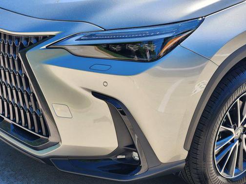 2025 Lexus NX 350 Luxury