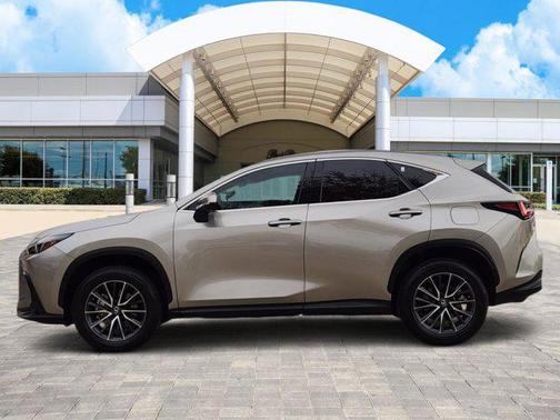 2023 Lexus NX 250 Premium