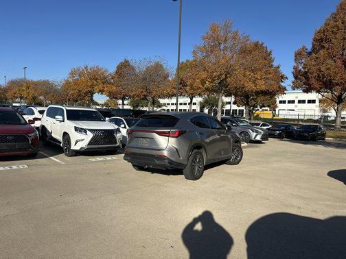 2023 Lexus NX 250 Premium