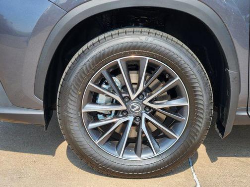 2025 Lexus NX 250 Base