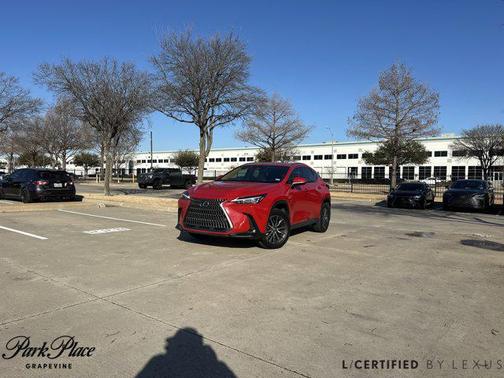 2025 Lexus NX 250 Premium