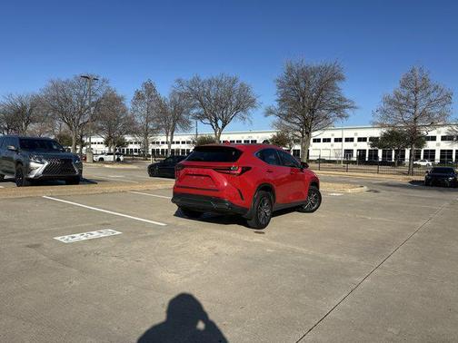 2025 Lexus NX 250 Premium