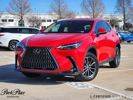 2025 Lexus NX 250 Premium