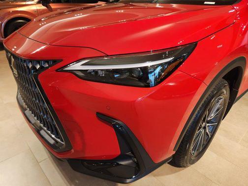 2025 Lexus NX 250 Premium