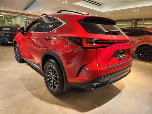 2025 Lexus NX 250 Premium