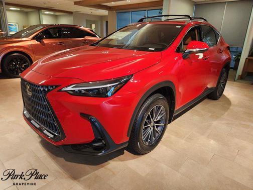 2025 Lexus NX 250 Premium