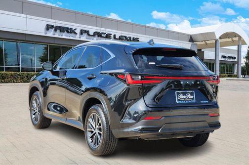 2025 Lexus NX 250 Premium