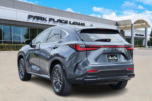 2025 Lexus NX 250 Premium