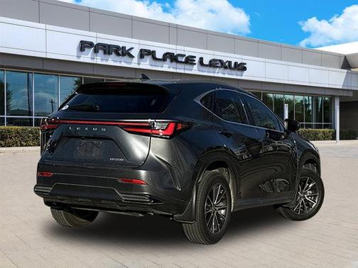 2024 Lexus NX 250 Premium