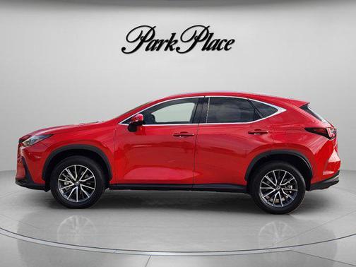 Redline 2025 Lexus NX 250 Premium