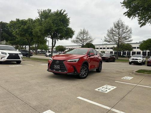 Redline 2025 Lexus NX 250 Premium