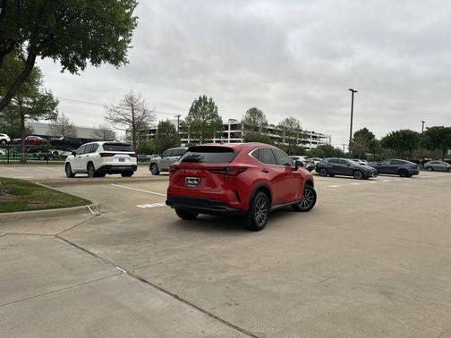 Redline 2025 Lexus NX 250 Premium