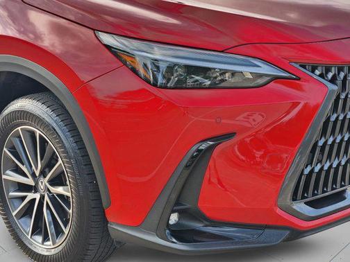 Redline 2025 Lexus NX 250 Premium