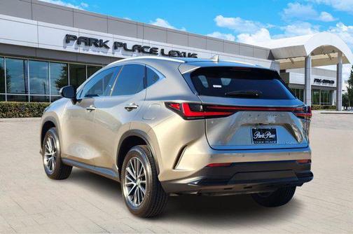 Atomic Silver 2025 Lexus NX 250 Premium