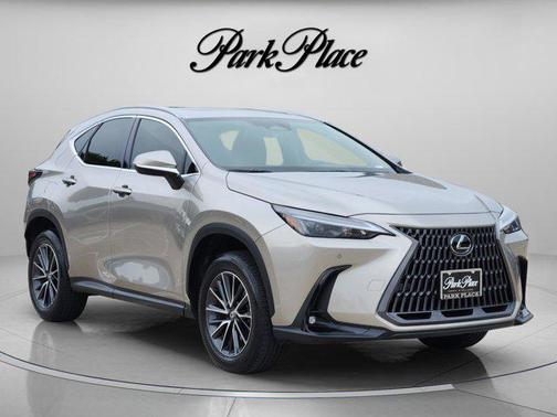 Atomic Silver 2025 Lexus NX 250 Premium