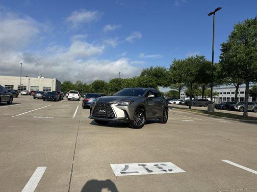 Atomic Silver 2025 Lexus NX 250 Premium