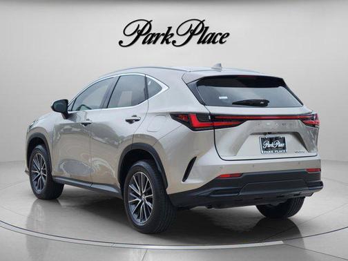 Atomic Silver 2025 Lexus NX 250 Premium