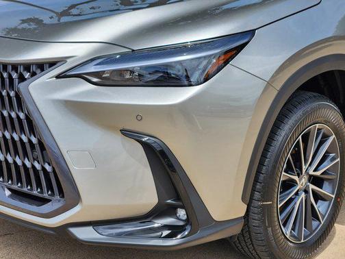 2025 Lexus NX 250 Premium