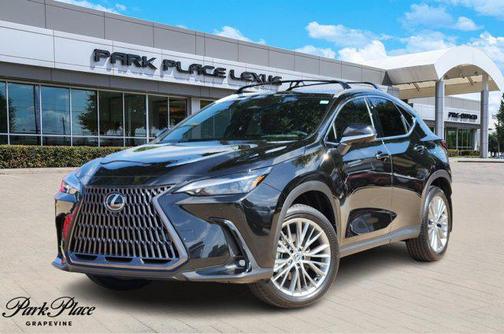 2025 Lexus NX 350 Premium