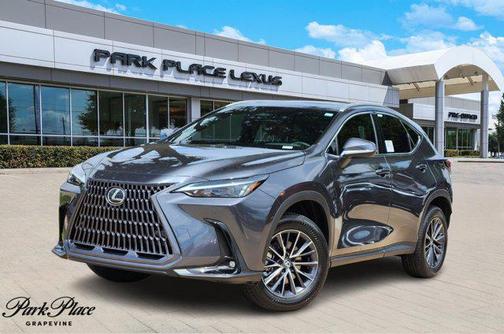 2025 Lexus NX 250 Premium