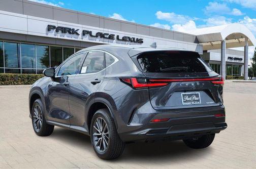2025 Lexus NX 250 Premium