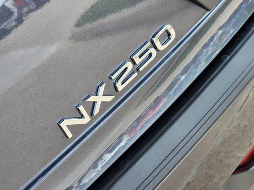 2025 Lexus NX 250 Premium