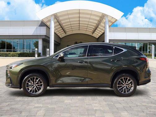 2024 Lexus NX 250 Premium