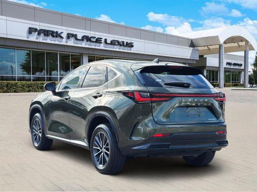 2024 Lexus NX 250 Premium